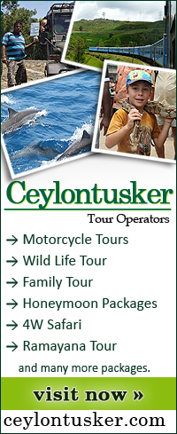 Visit Ceylon Tusker